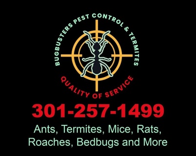 bugbusters pest control & termites
301-257-1499