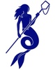 Mermaid Pool Cleaners