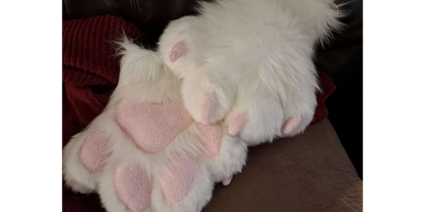 furry paws