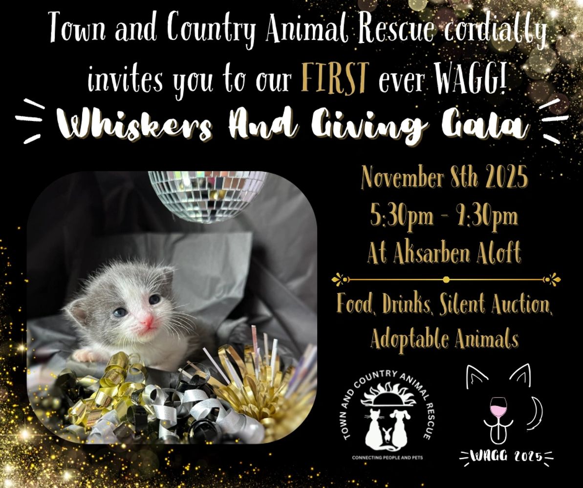 Town and Country Animal Rescue Whiskers and Giving Gala WAGG