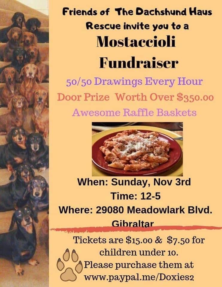 Fundraiser event for Dachshund rescue with raffle and prizes.