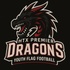 HTX Premier Dragons