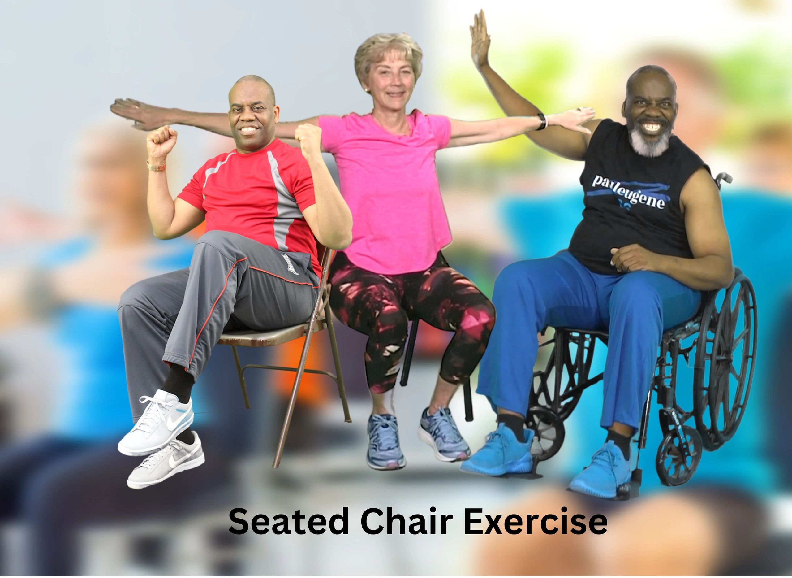 Seated Chair Exercise