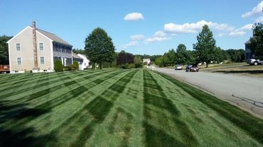 A neatly mowed lawn with striped patterns in a suburban neighborhood.