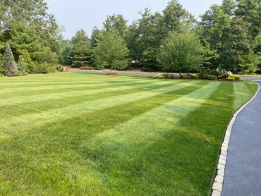 A neatly striped, well-maintained green lawn with surrounding trees and a paved driveway.