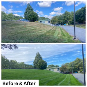 Side-by-side images show a grassy hill before and after lawn care, transforming from patchy to lush green.