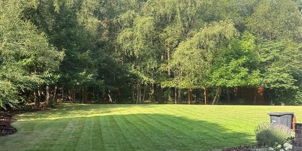 A neatly mowed lawn bordered by lush green trees under a clear blue sky.