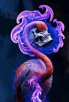 Our Eternal Grin