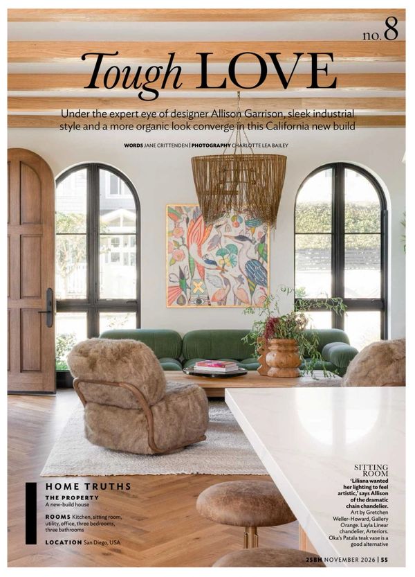 25 Beautiful Homes November 2026, Jane Crittenden journalist, Coyote Ugly home, California interiors