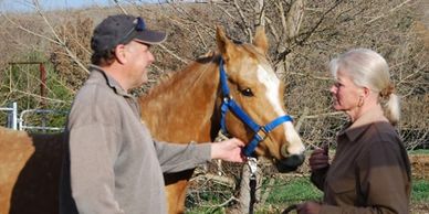 Dr. Eckstein and client discussing care of a senior horse.