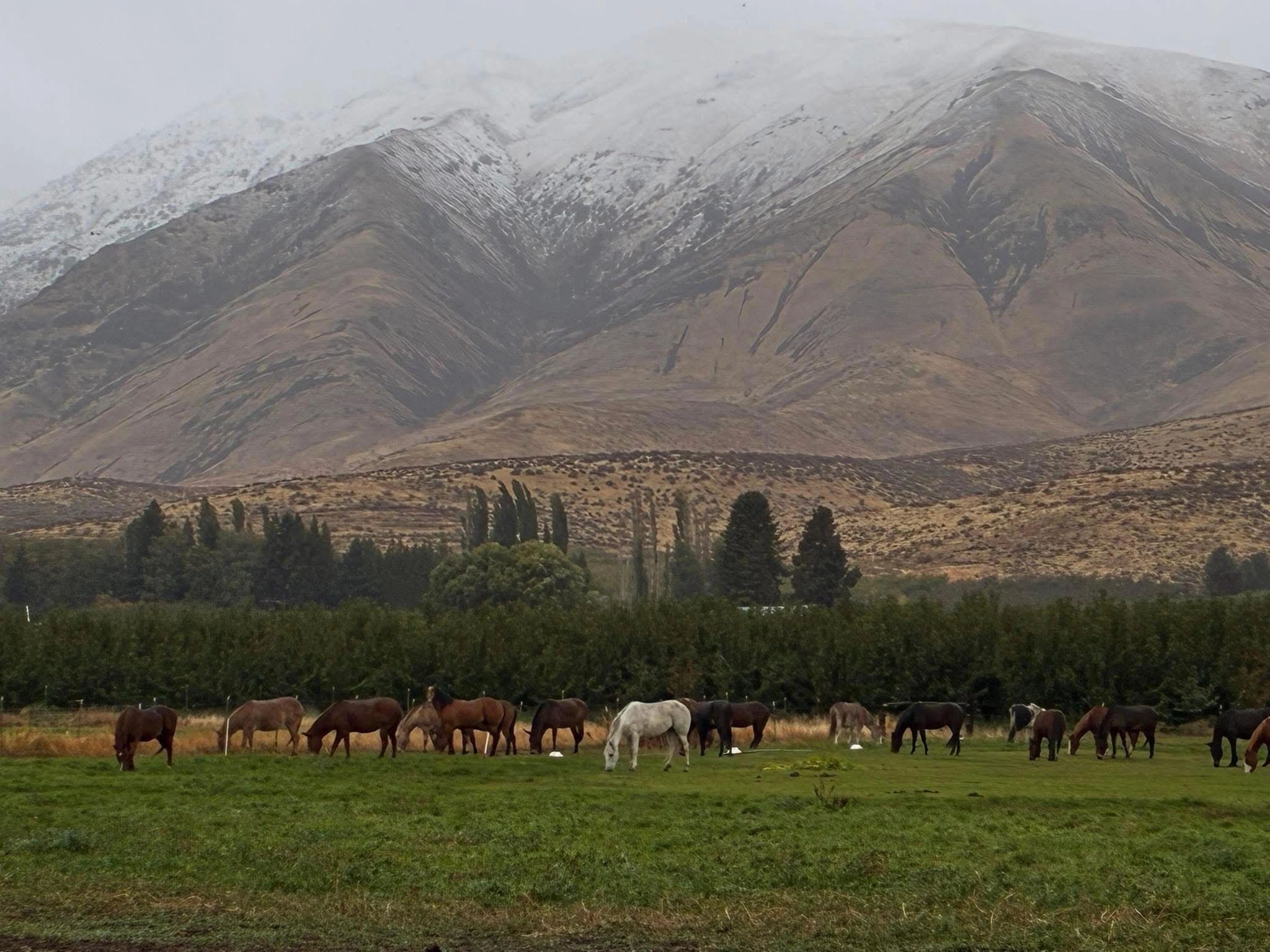 Chinook Pass Outfitters LLC — photo 1