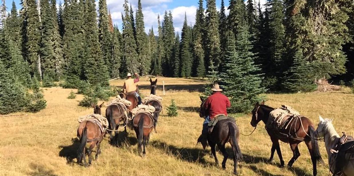 Chinook Pass Outfitters