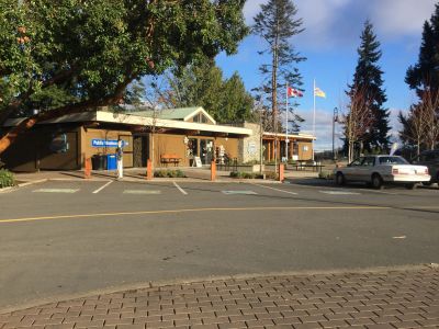 Small town public library with flags and parked car.