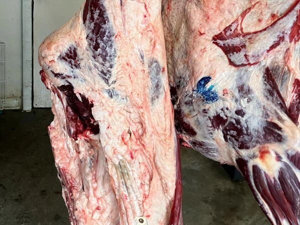 1/4 Beef Deposit