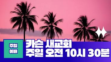 Palm trees silhouette at sunset with Korean church service announcement.