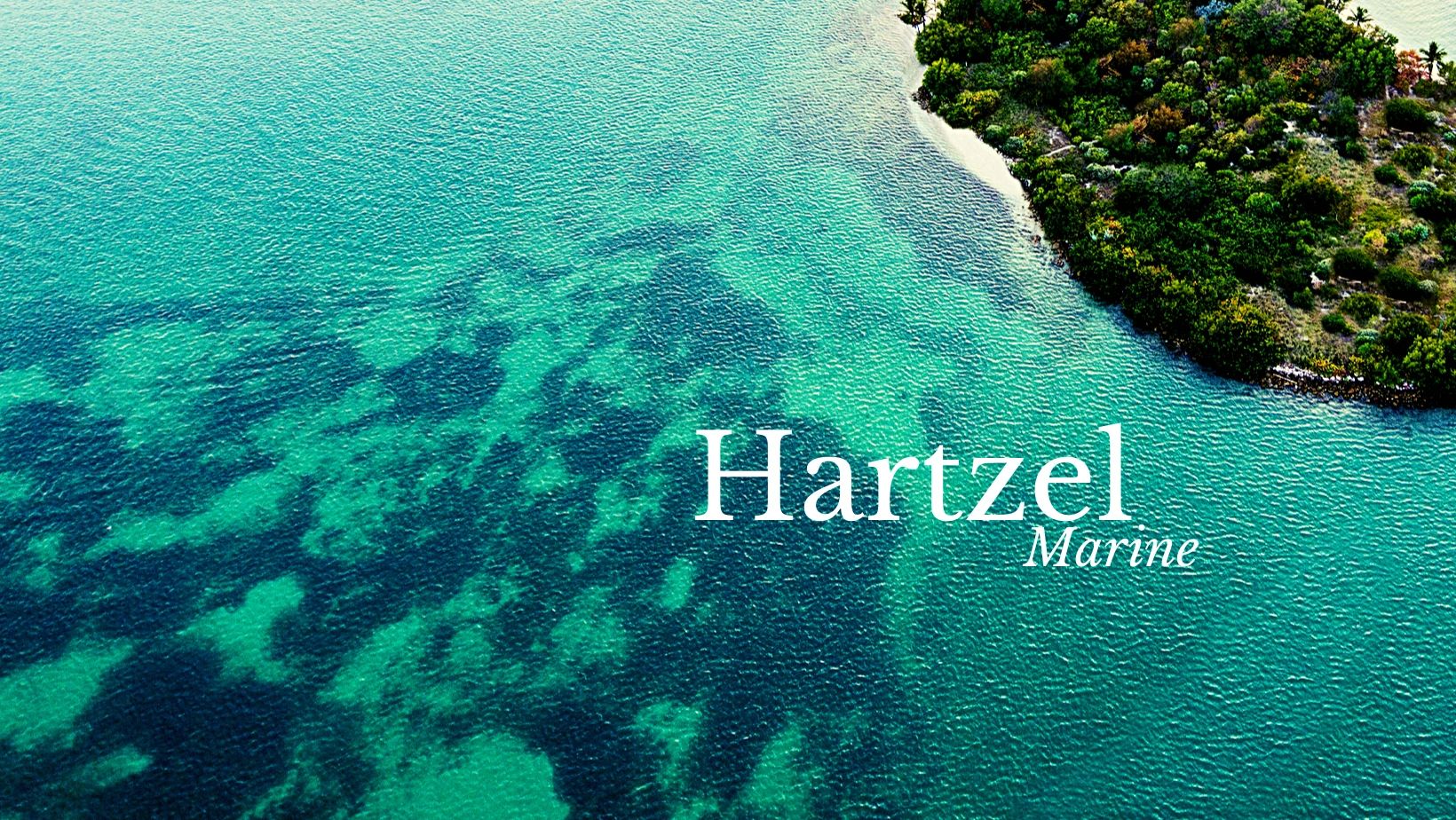 Hartzel Marine - Boat Dealer, Thriving Hartzel Marine Dealership, Boat