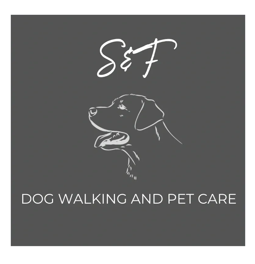 Professional Dog Walking and Pet Sitting Services