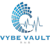 Vybe Vault