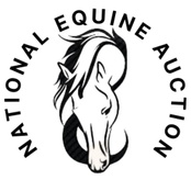nationalequineauction.com