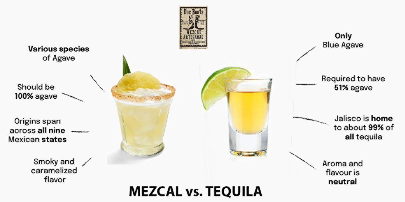 Mezcal vs. Tequila A Spirited Journey