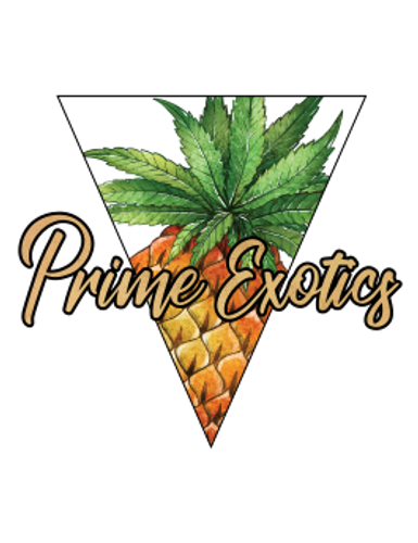 Prime Exotics Indoor