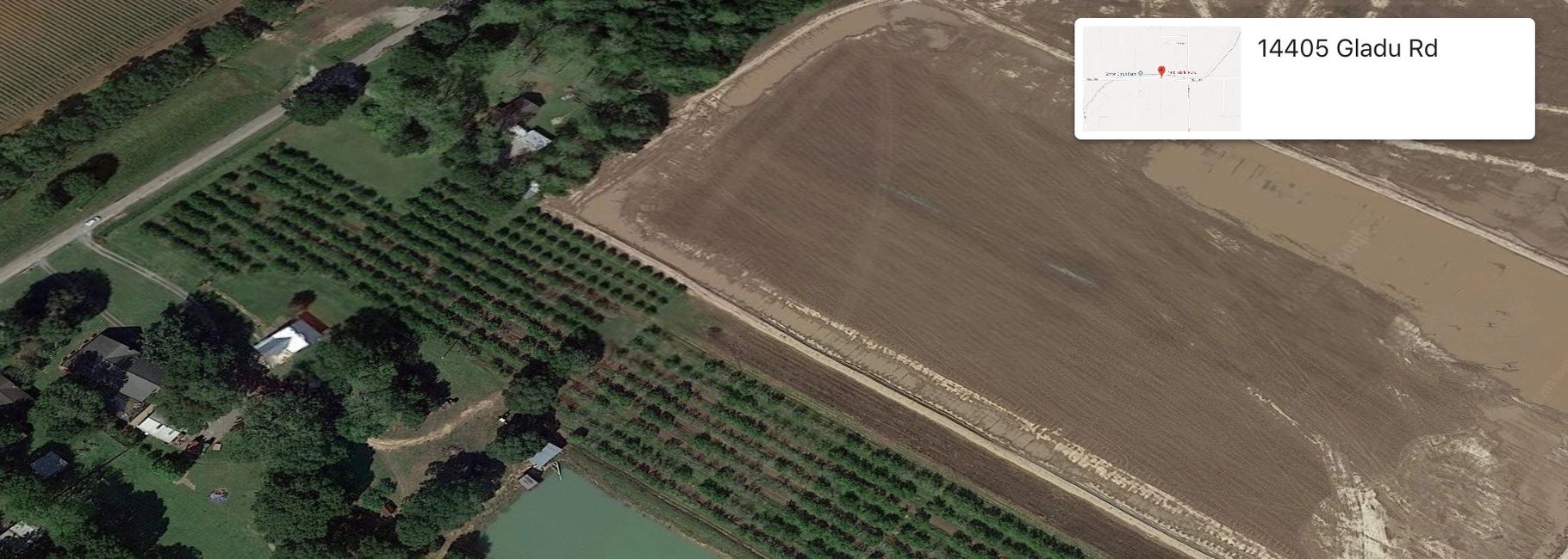 Simon Citrus Farm I Satsuma Orange Grower