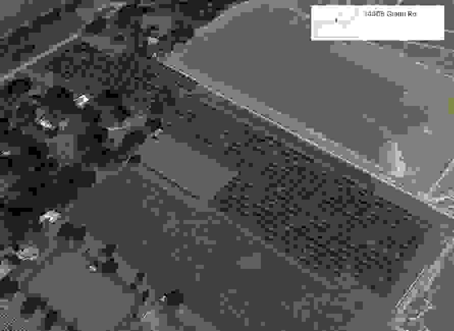 Simon Citrus Farm I Satsuma Orange Grower