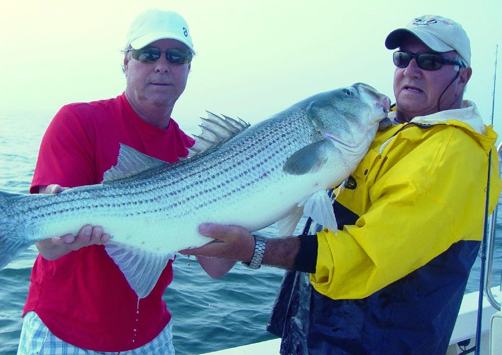 Join Capt. Art Sawayer for the best in flyfishing and light tackle pursuits featuring New England's 