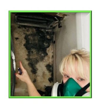 MOLD ASSESSMENT, MOLD TESTING, Swab sampling
Air sampling
bio-aerosol
mold cleaning
moisture
musty