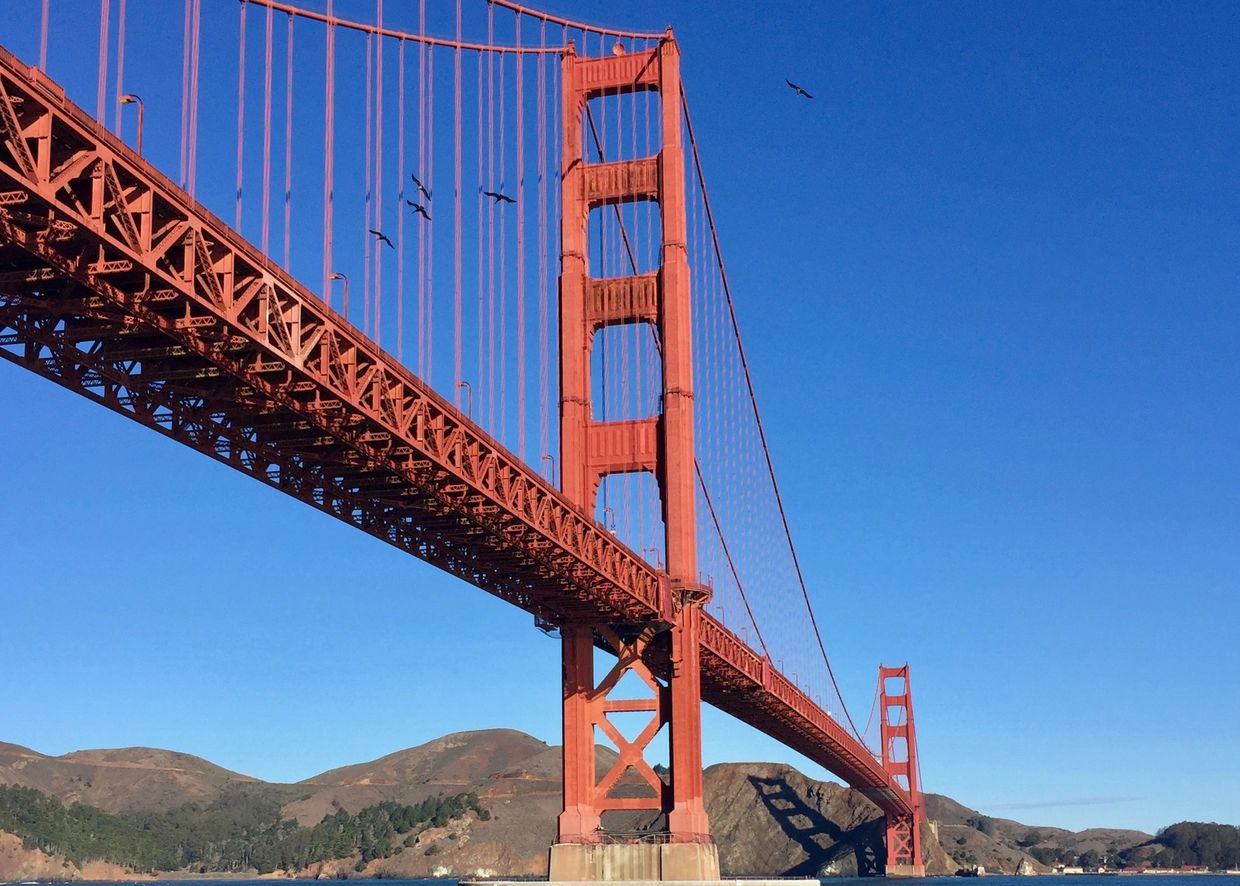 copyright
All rights reserved