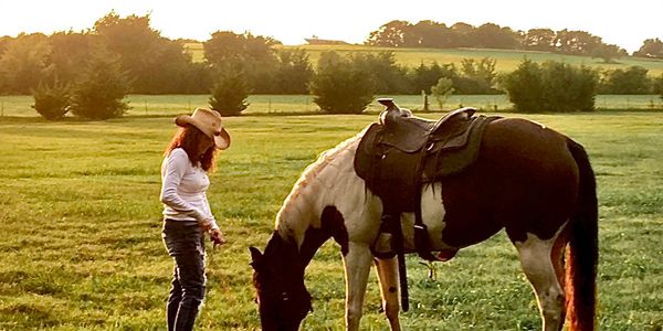 Enjoy the serenity and connection with our equine family. 