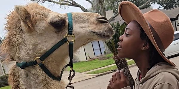 Woman and camel face each other closely.
