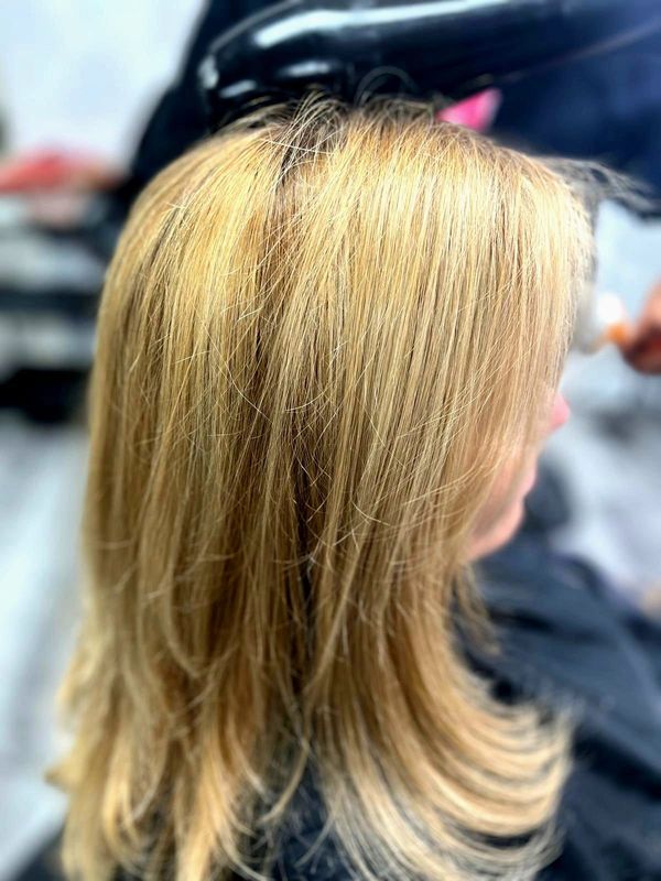 Root Touchup in Mississauga