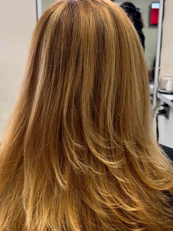 Root Touchup In Mississauga