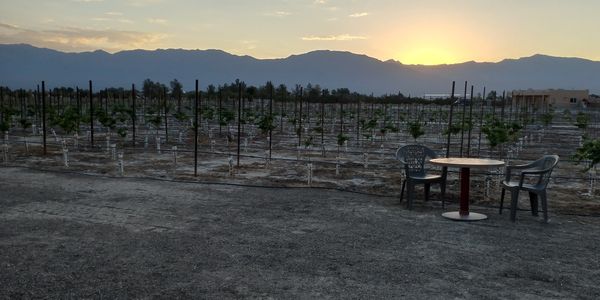Morning coffee at Black Star Ranch Vineyard