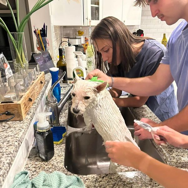 We have the best foster home volunteers who always go the extra mile.