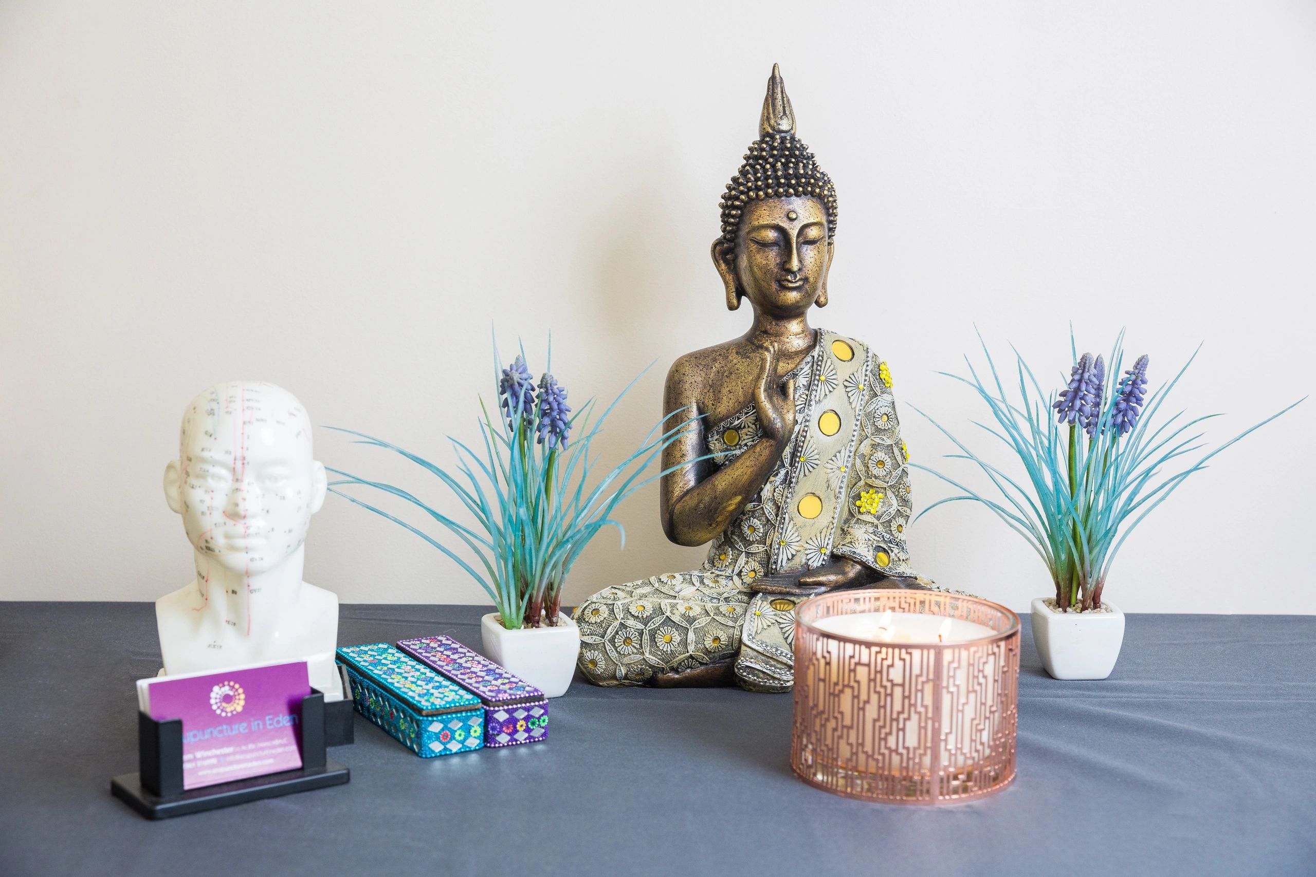 Acupuncture in Eden Acupuncture, Massage, Massage Therapy