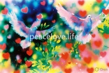 Peace Love