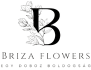brizaflowers.com