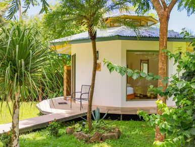 Modern small house surrounded by lush greenery and trees.
