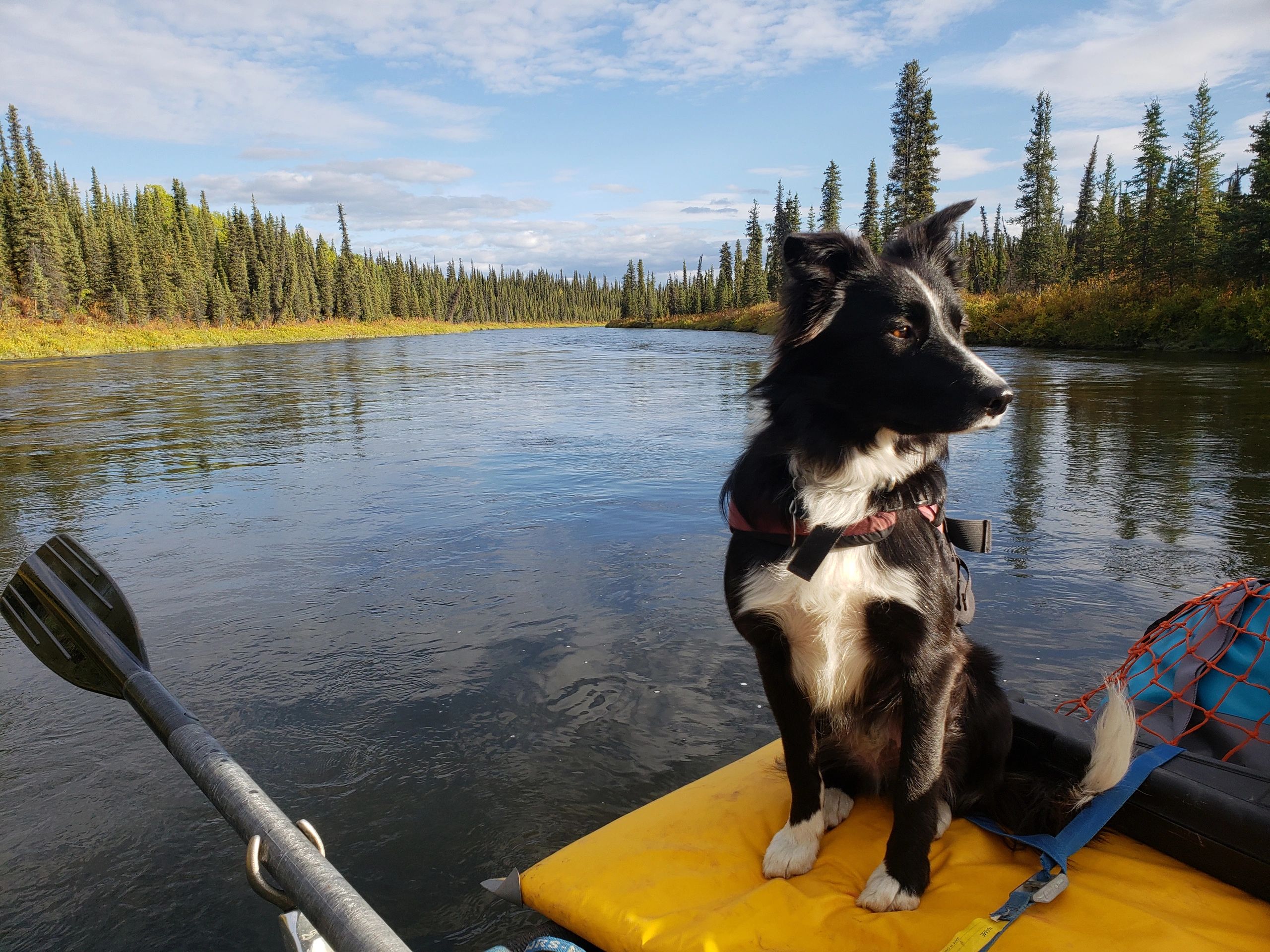 Copper River Guides Alaska charter