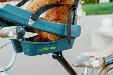 BuddyRider series 2  bike seat 