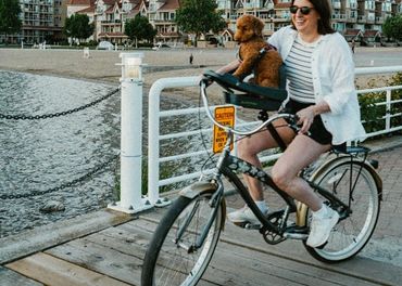 Buddyrider series 2 dog seat £217.99