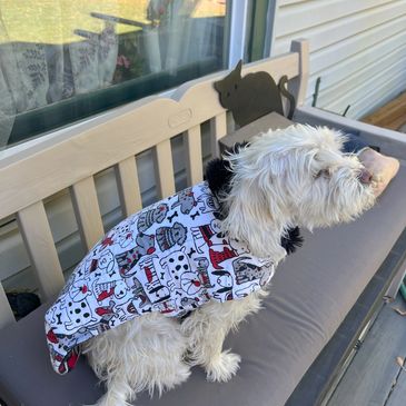 A dog on the couch wearing a dress.