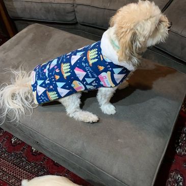Canvas and Flannel Reversable Dog Coat