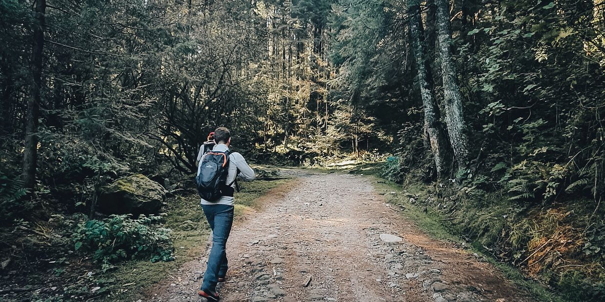 guia caminando en el bosque