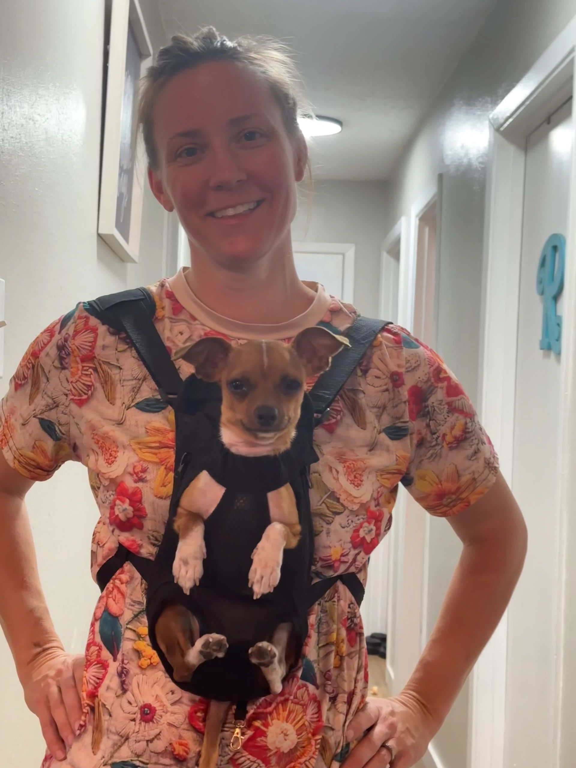 Found a carrier for Cookie so she can go on more horse rides