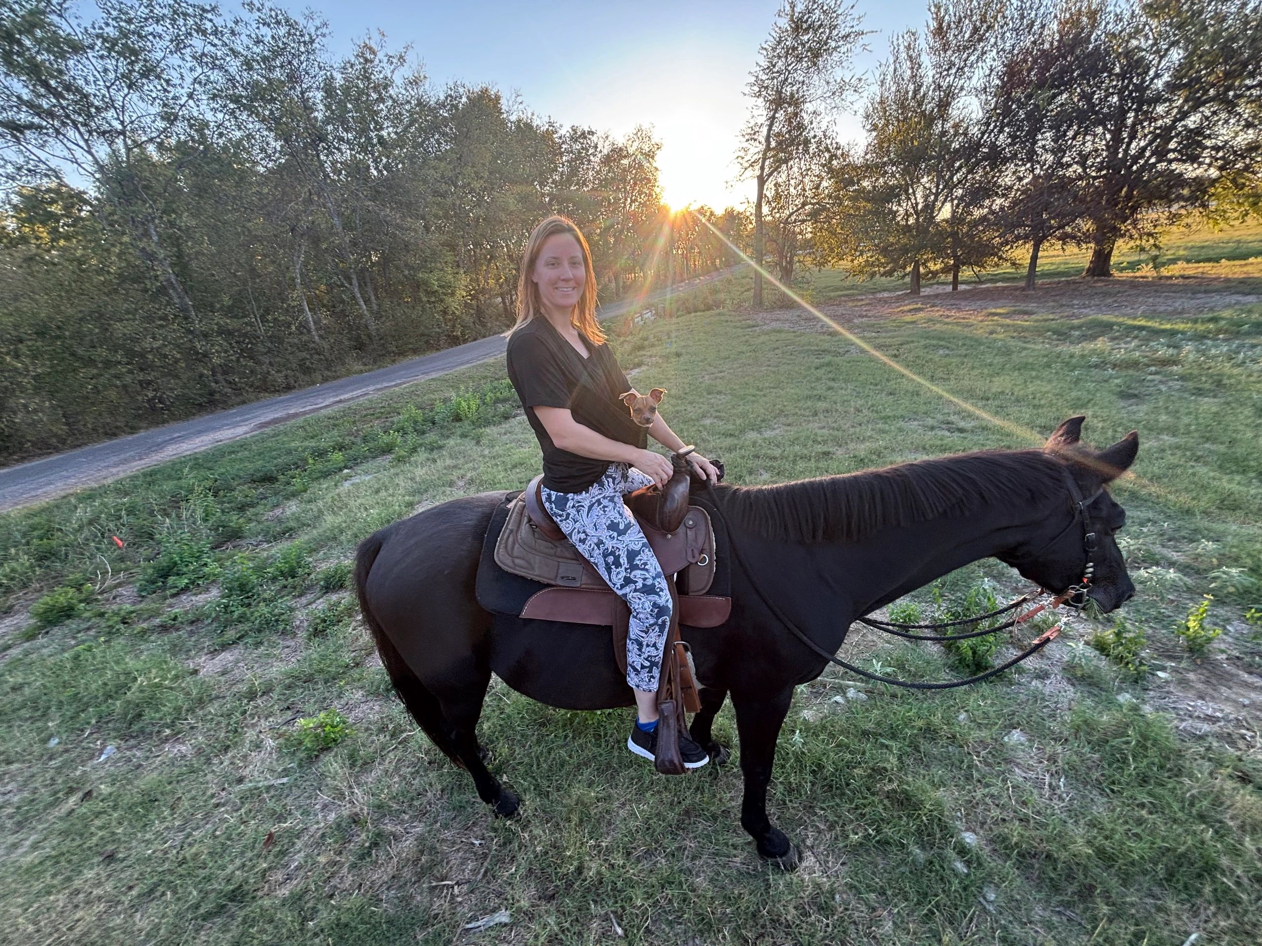 Riding Hank and Cookie, my chihuahua, wanted to join me. 