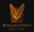 Bengalsandco 