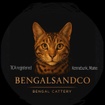 Bengalsandco 